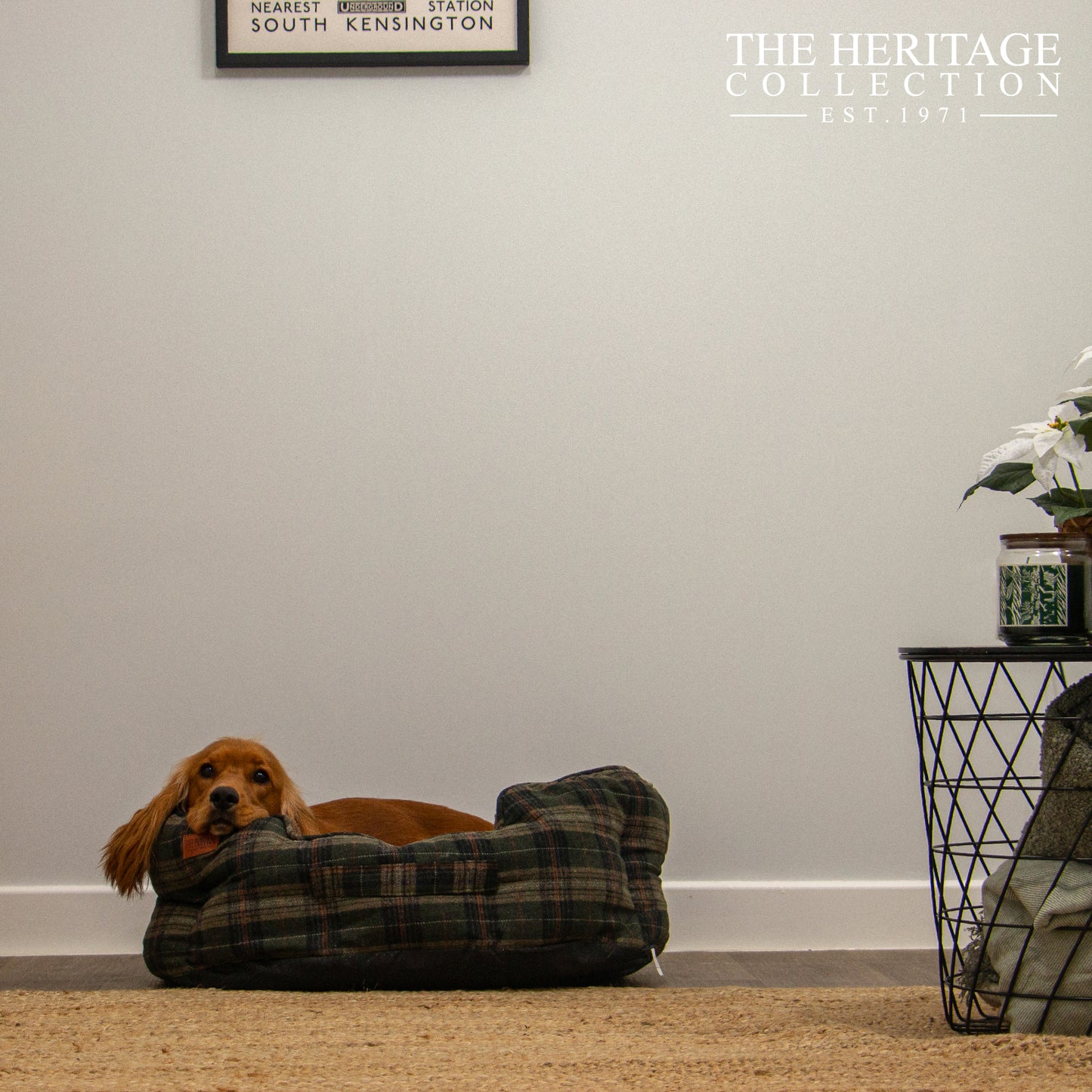 Dog Bed - Heritage Green Check