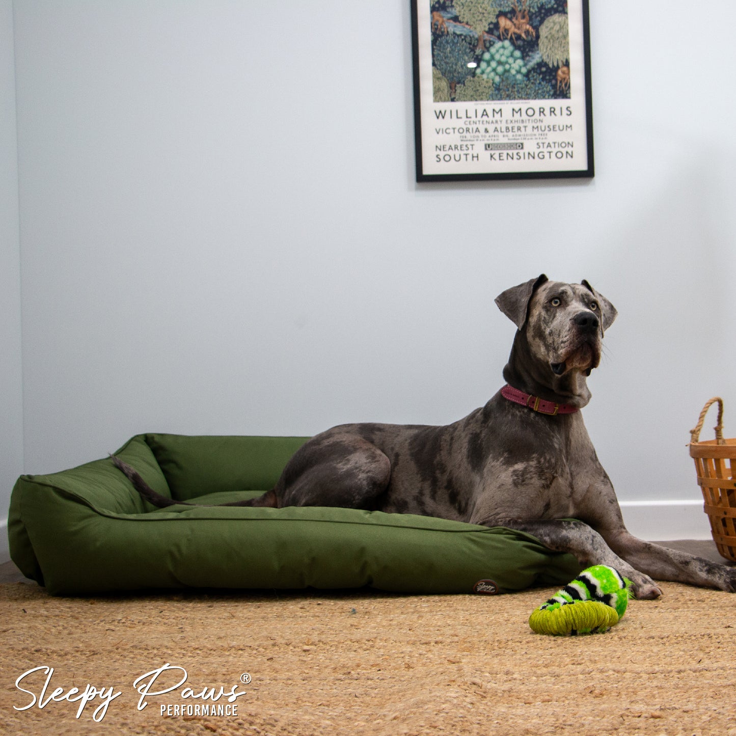 Dog Bed - Oxford Water Resistant with Zip