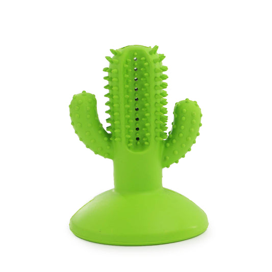 Dog Toy - Orva Cactus Toothbrush