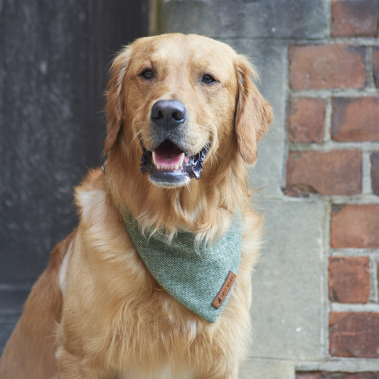 Tweed Bandana - Green