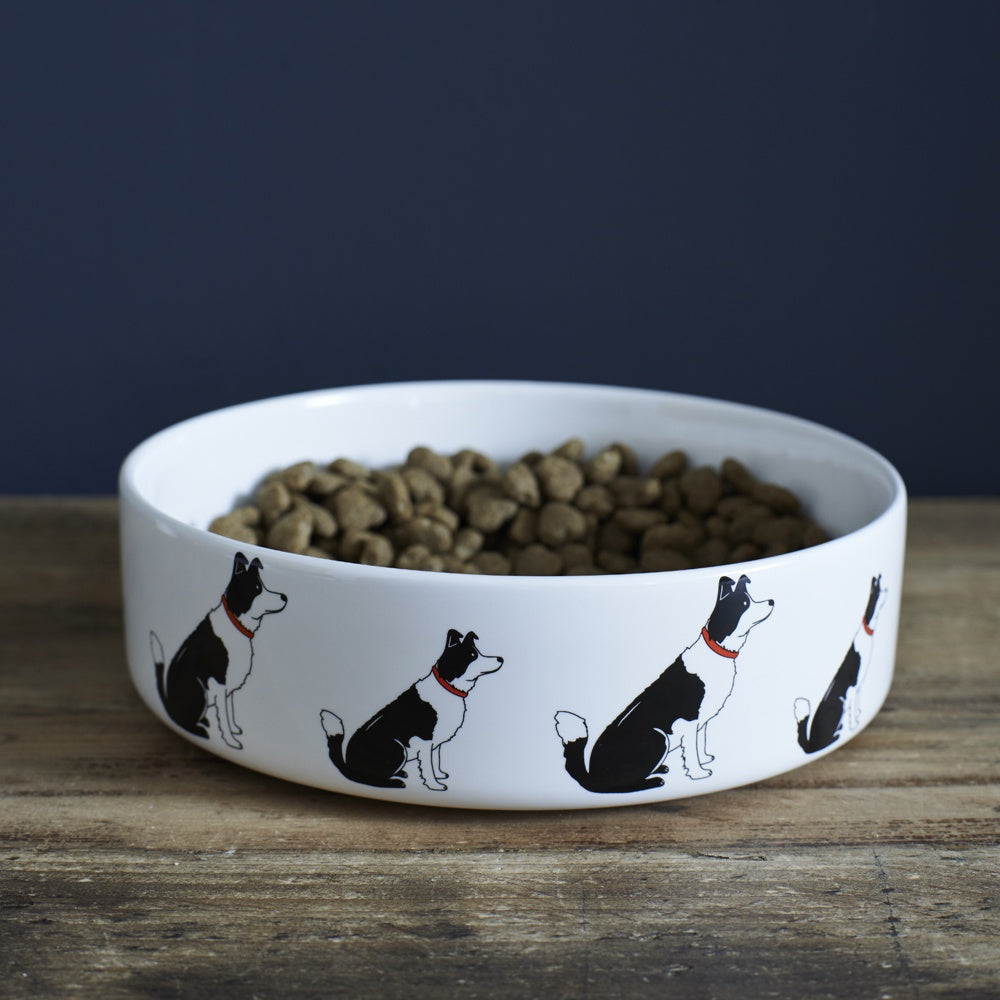 Dog Bowl - Border Collie