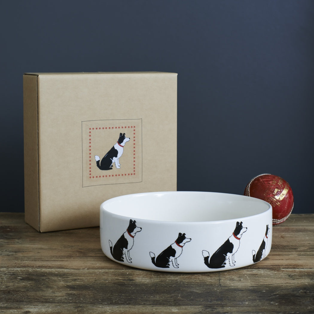 Dog Bowl - Border Collie