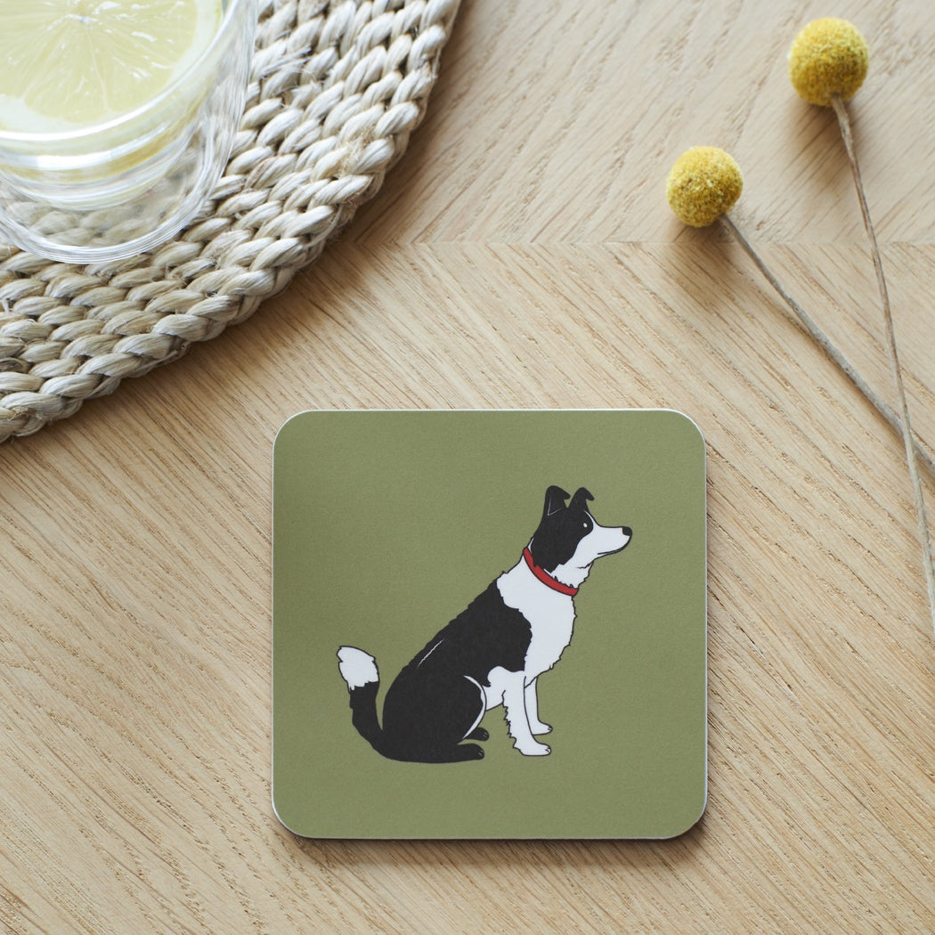 Dog Coaster - Border Collie