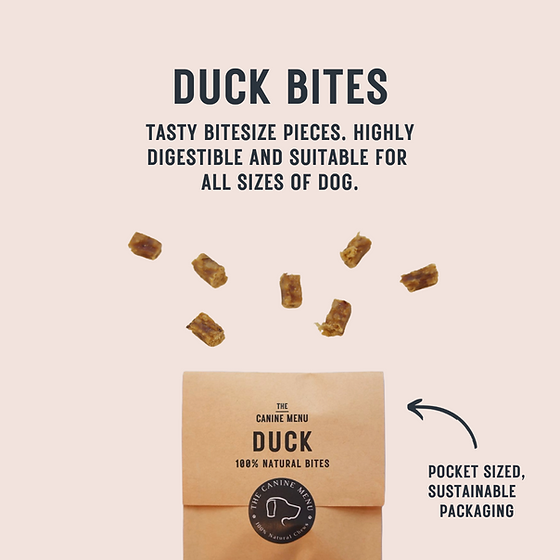 Duck Bites