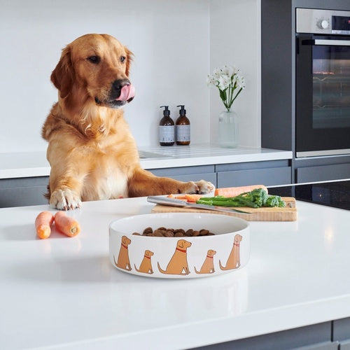 Dog Bowl - Fox Red Labrador