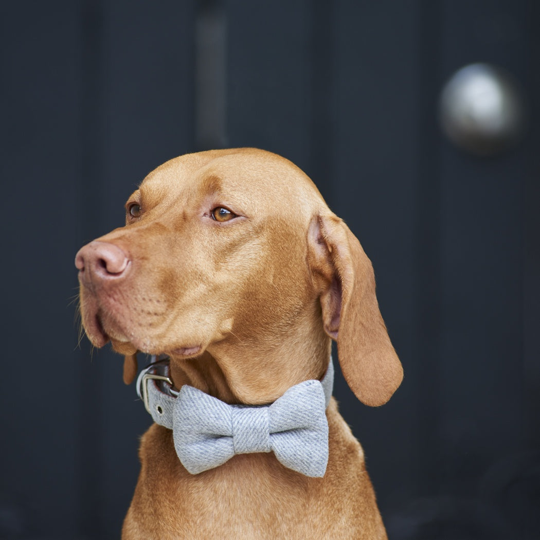 Tweed Bowtie - Grey