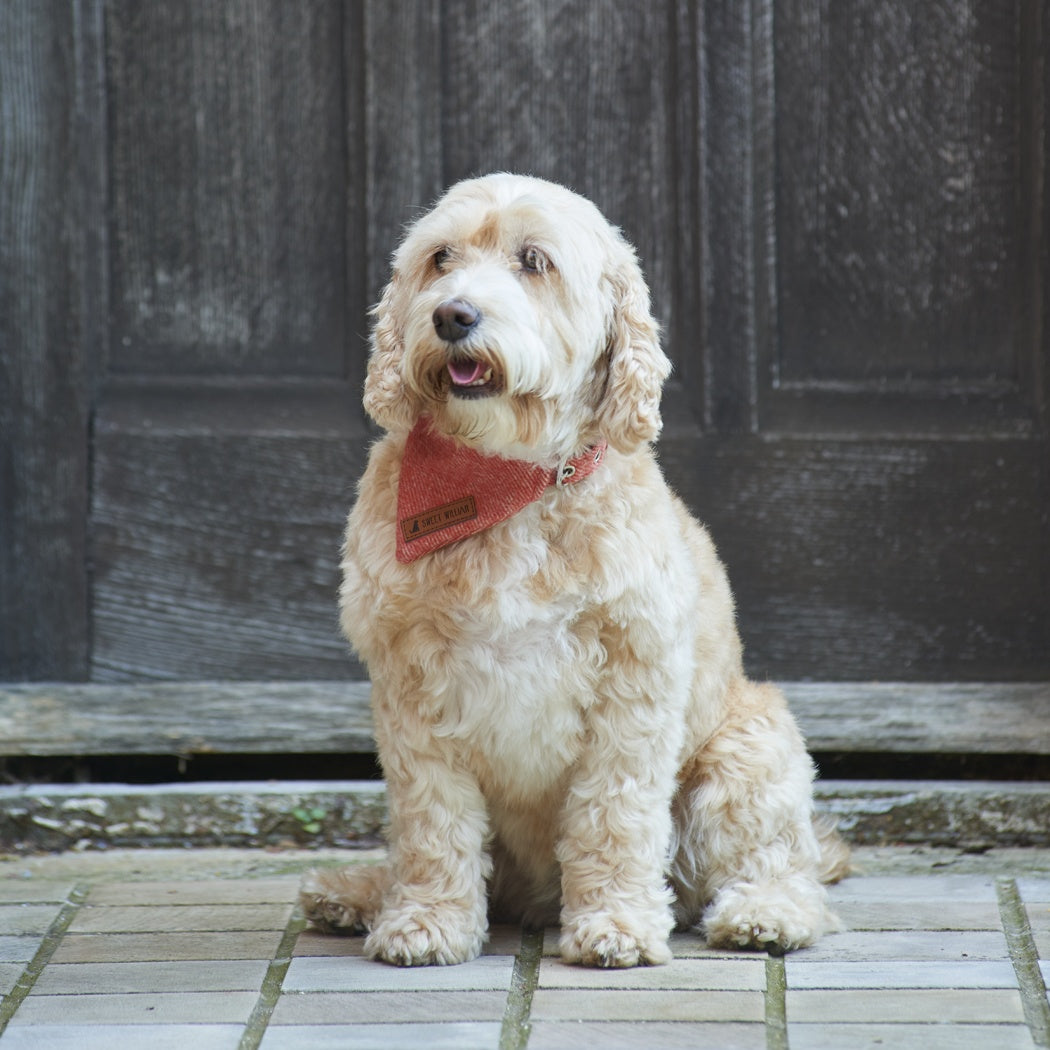 Tweed Bandana - Orange