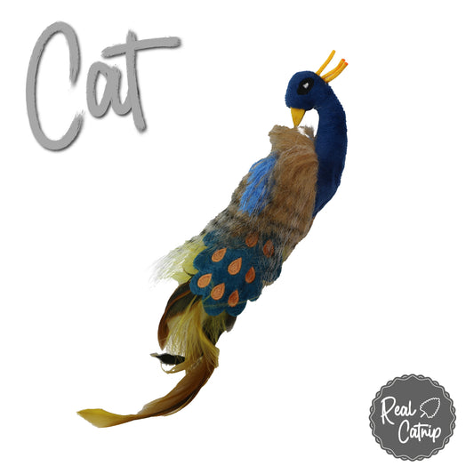 Cat Toy - Peacock