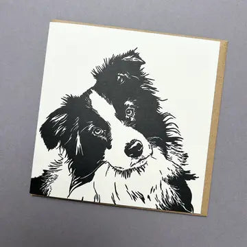 Luxury Dog Cards - Border Collie Puppy