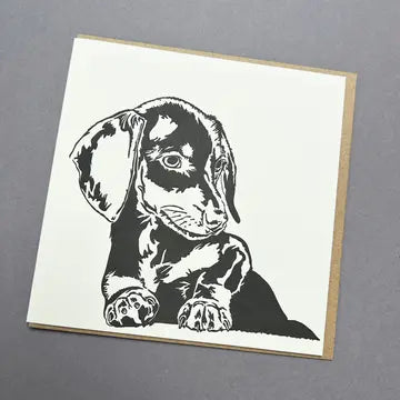 Luxury Dog Cards - Dachshund Puppy