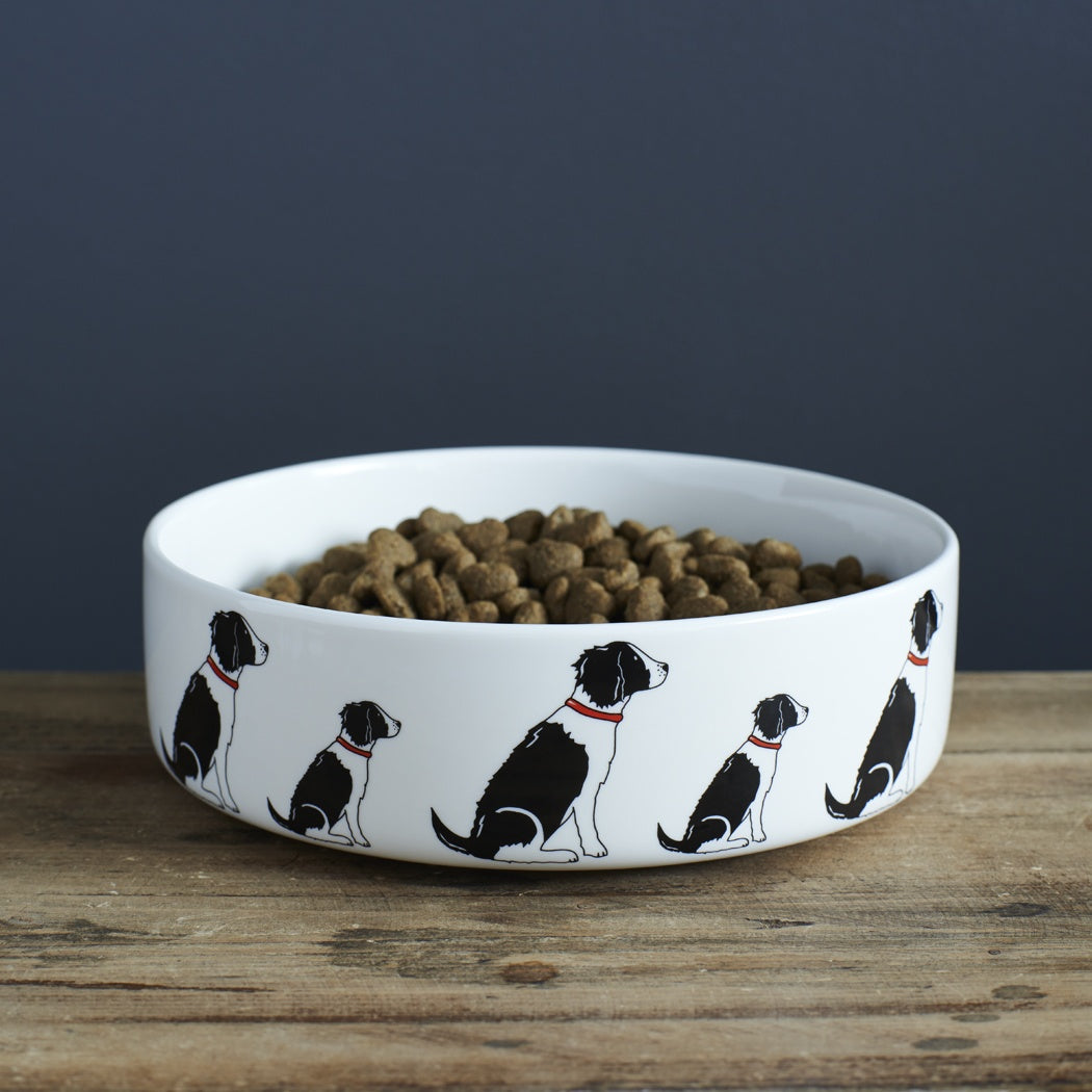 Dog Bowl - Springer Spaniel