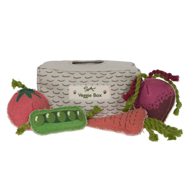 Dog Toy - Veggie Box